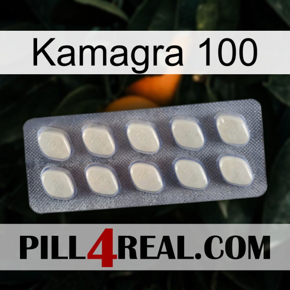 Kamagra 100 08.jpg